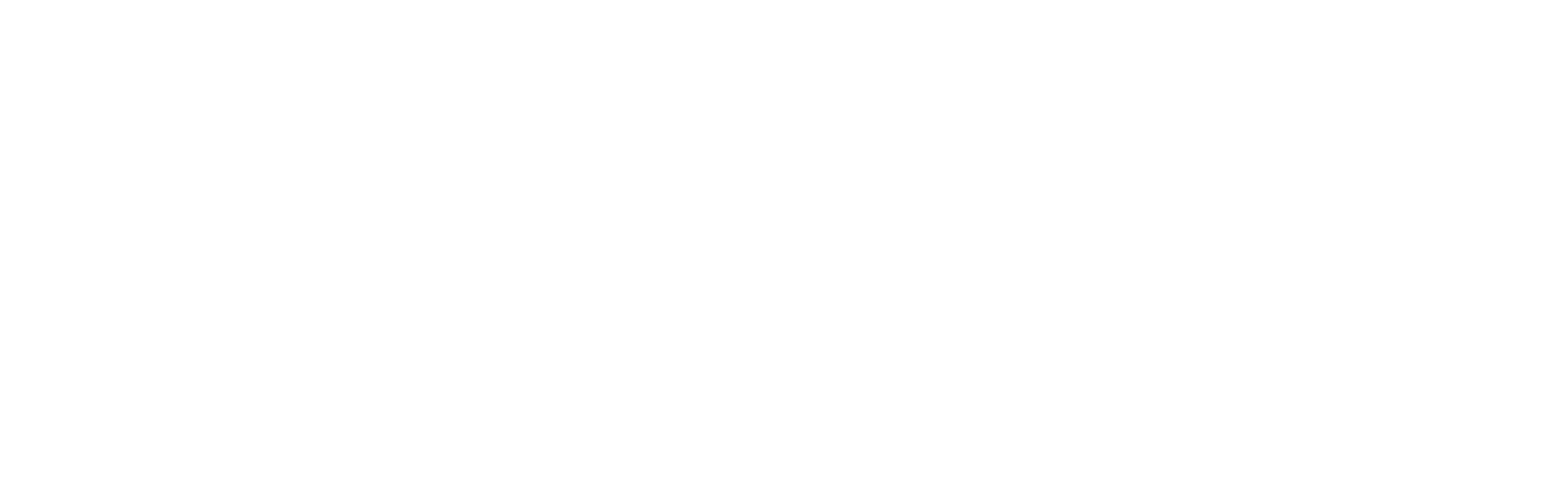 Dassult Logo